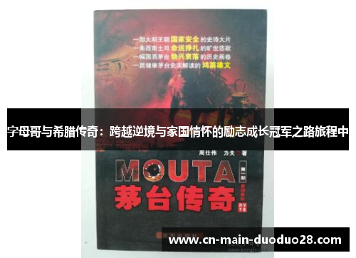 字母哥与希腊传奇：跨越逆境与家国情怀的励志成长冠军之路旅程中