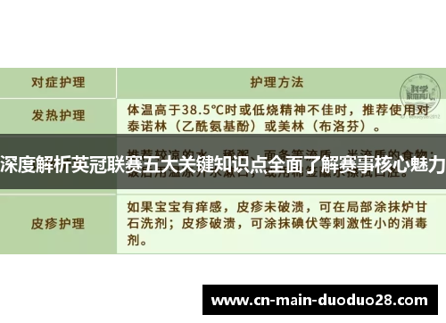 深度解析英冠联赛五大关键知识点全面了解赛事核心魅力 深度解析英冠联赛五大关键知识点全面了解赛事核心魅力
