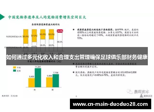 如何通过多元化收入和合理支出管理确保足球俱乐部财务健康 如何通过多元化收入和合理支出管理确保足球俱乐部财务健康
